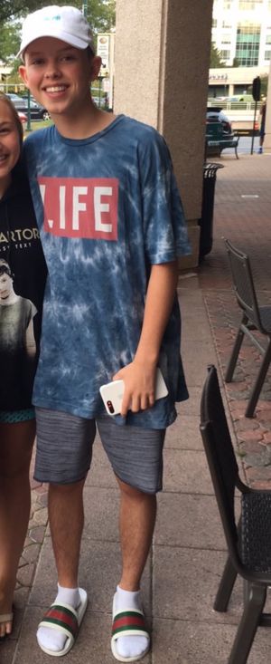 2017년의 사토리우스