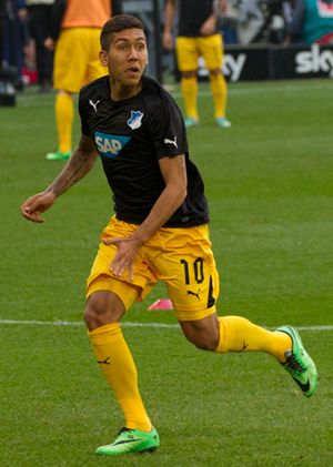 2014년 TSG 호펜하임에서 뛰고 있는 피르미누