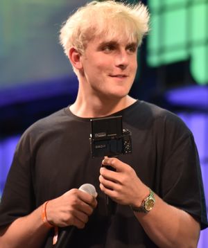 2016년 웹 서밋에서 폴