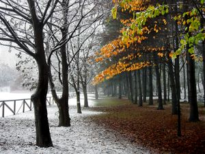 파르코 카스텔로.