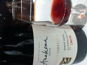 레퀴노아 밸리(Requínoa Valley)의 피노 누아.