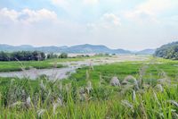 우포늪 (2014년 촬영)