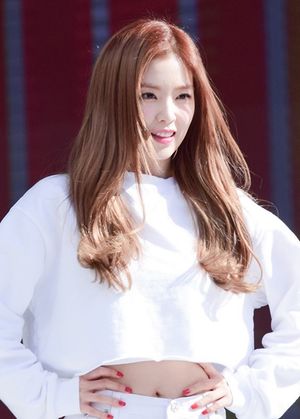  (2015년 9월 12일)