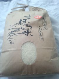 판매용으로 봉투에 담긴 고시히카리