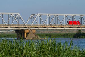 알버트 나일의 다리