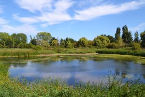 마르잘 데 라 사포르(Marjal de La Safor) 습지