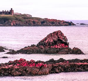 뒤쪽에 슬레인스 성이 보이는 크루든 베이 사진. 이 성은 드라큘라 성 묘사에 영감을 주었다고 한다.