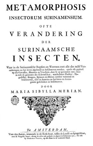 메리안의 주요 저서 《수리남 곤충 변태기》(la)