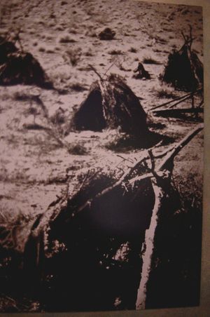 남부 파이유트가 사용했던 Kaun 오두막