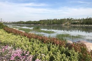 자루 강, 화이허의 지류가 정저우를 통과한다.