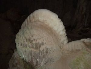 "가재 등", 제놀란 동굴(Jenolan Caves), 뉴사우스웨일스, 오스트레일리아