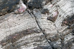 스트로마톨라이트 화석, 시생누대 22-23억 년 전 지층에서 발견