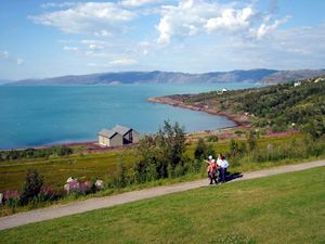 알타피오르덴, 알타 (2003)