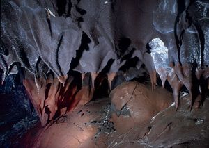 상어 이빨 종유석