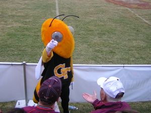 조지아 공과대학교 마스코트 버즈