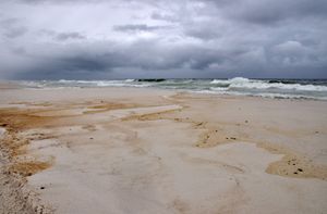 2010년 7월 1일, 플로리다주 펜서콜라의 기름 오염 해변