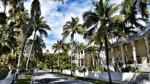 트루먼 부속지의 길을 따라 늘어선 야자수