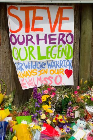 어윈의 사망 다음 날 그를 기리기 위해 남겨진 꽃들