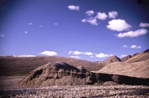 엘즈미어 섬 북부, 그랜트 랜드의 극지방 융기 퇴석