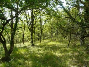 도르도뉴의 풍경, 아키텐