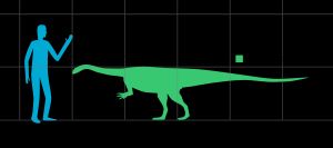 인간과의 크기 비교