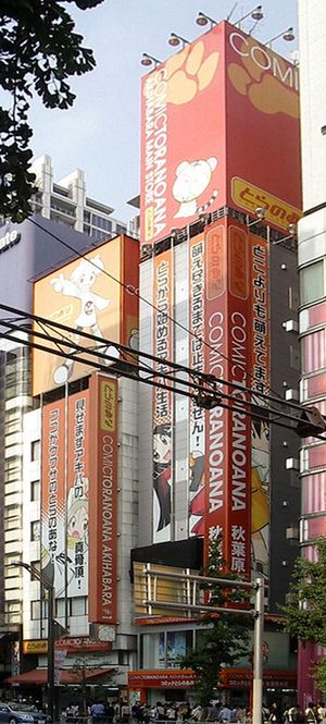 토라노아나 아키하바라