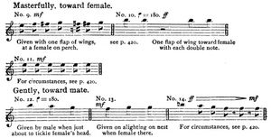 음표 기록, 1911년 월리스 크레이그가 편집