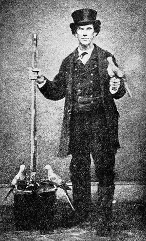 1870년경 맹인 미끼 비둘기와 함께 야생 조류를 유인하는 덫 사냥꾼 앨버트 쿠퍼