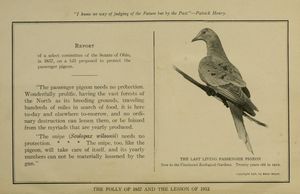 "'1857년의 어리석음과 1912년의 교훈'", 윌리엄 템플 혼데이의 사라져가는 야생 동물 (1913)의 앞면, 마사가 생존해 있던 모습, 이 종의 멸종생물.