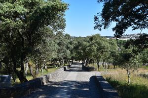 전형적인 자연 경관