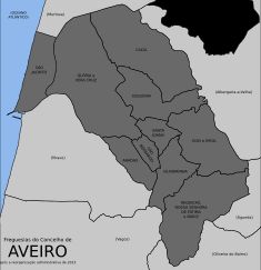 아베이루 시의 민간 교구