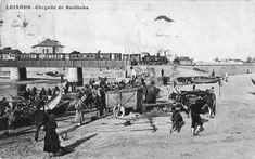 20세기 초 마토지뉴스의 풍경: 연례 정어리 어획 시즌의 일부