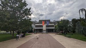 몬테네그로 대학교