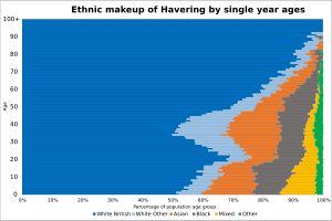2021년 헤이버링구의 연령별 민족 구성