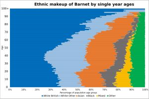 2021년 바닛구의 연령별 민족 구성