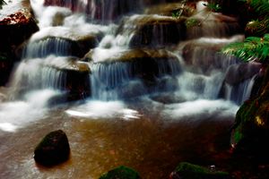 그로브 공원의 폭포