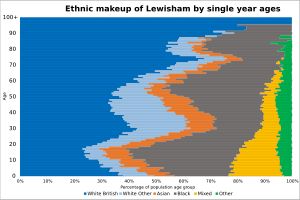 2021년 루이셤의 민족 구성