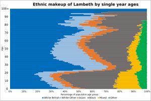 2021년 램버스 인구의 민족 구성