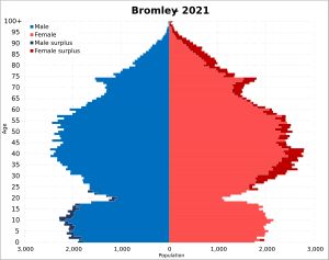 브롬리구의 인구 피라미드