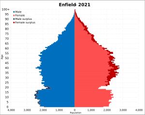 2021년 엔필드 인구 피라미드