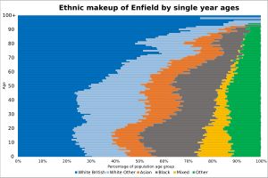 2021년 엔필드의 연령별 민족 구성