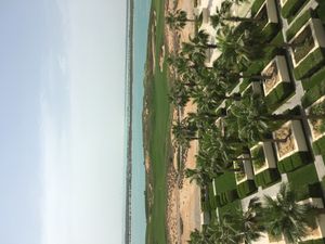 배경에 야스 해변이 보이는 야스 링크스