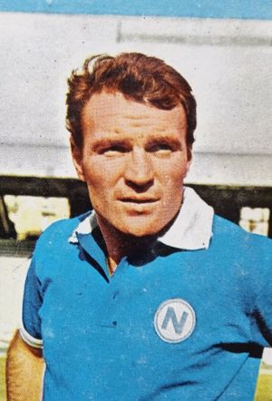 1965년 나폴리에서 알타피니