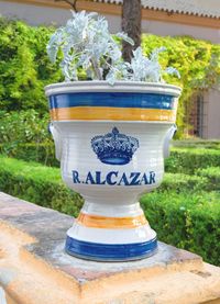 스페인, 세비야의 화분