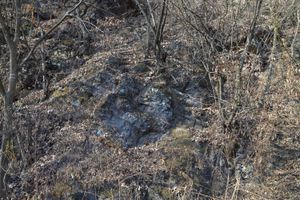 의성군 가음면 양지리 산 43, 명곡서원길 도로변의 구산동 응회암