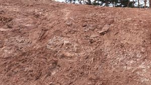 울진군 온정면 광품리 국도 제88호선 절개사면