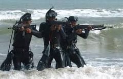 훈련 중인 타히피(Taifib) 대원들