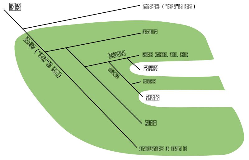 녹색으로 칠해진 범주를 서양 언어권에서는 달리 와스프라고 한다.