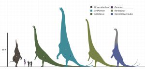 디플로도쿠스 (짙은 녹색) 및 다양한 용각류의 세 발 자세; 연구에서 추정된 질량 중심을 나타내는 흰색 점