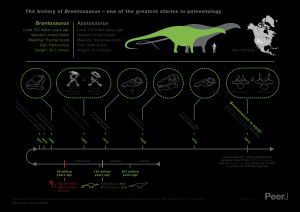 츠초프(Tschopp) 등, 2015년에 따른 브론토사우루스와 아파토사우루스의 역사를 설명하는 인포그래픽
